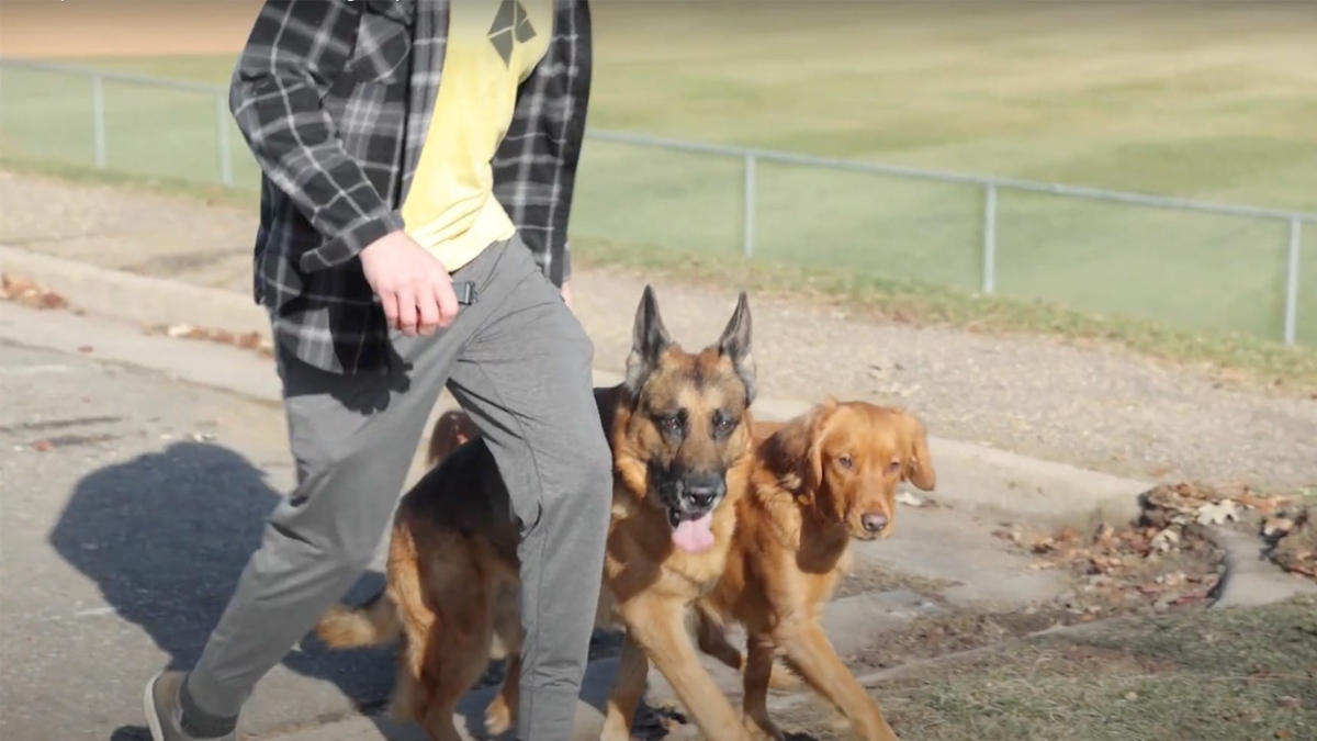 A trainer explaining balanced dog training