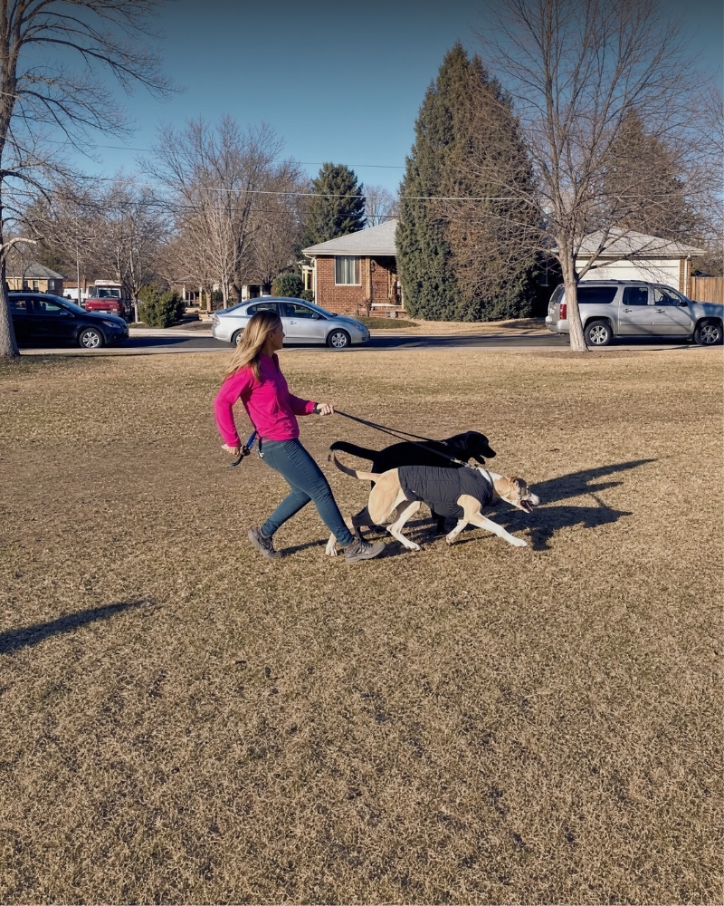 owner managing a reactive dog on a walk