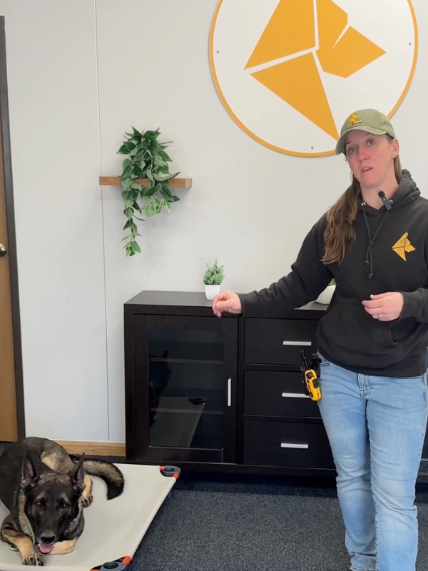 Jamie Miller, Co-Founder and Head Trainer, Art of the Dog Canine Academy