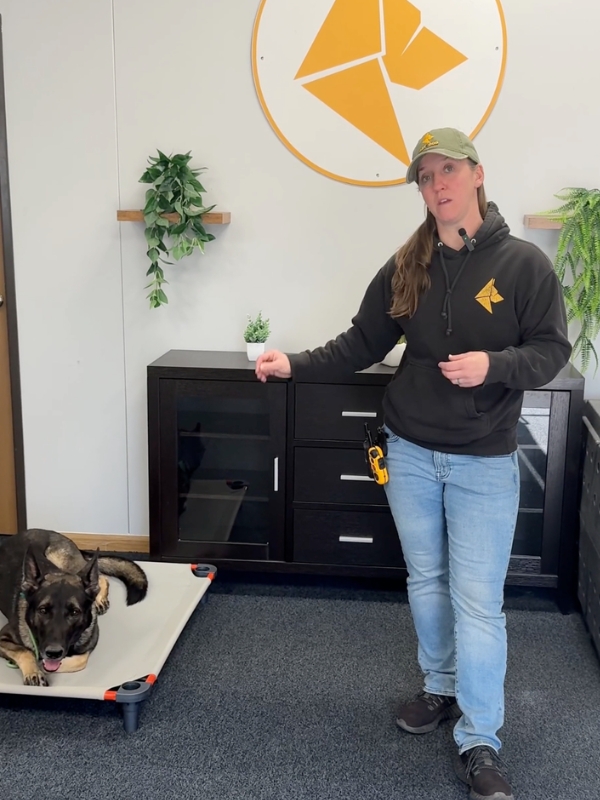 Jamie Miller, co-founder of Art of the Dog Canine Academy