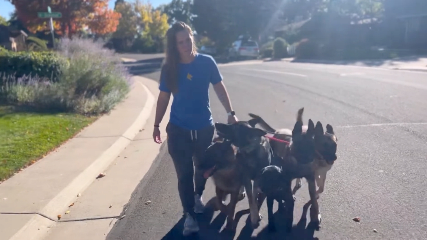 Jamie Miller, Co-Founder and Head Trainer at Art of the Dog Canine Academy