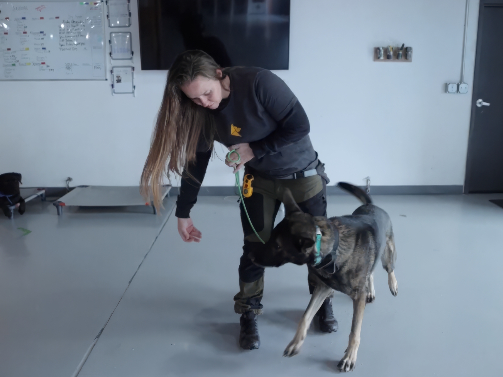 Trainer working a dog on the academy training floor