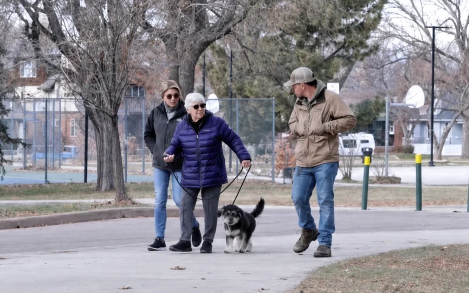 reactive dog in Denver