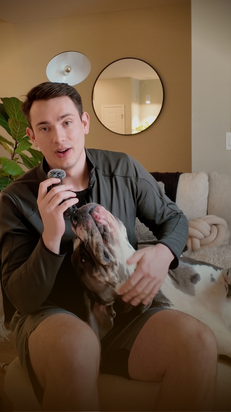 Dakota, a repeat Art of the Dog family, with her dog Truman