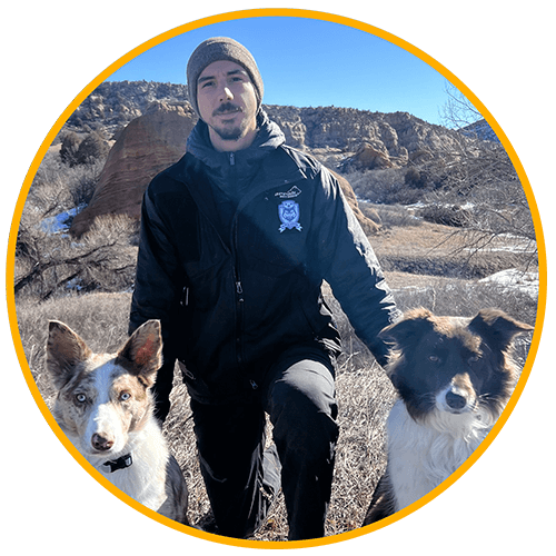 A picture of Wil McBride and his two dogs in a hike in the Colorado Front Range. Wil is one of the Lead Trainers at Art of the Dog Canine Academy in Denver.
