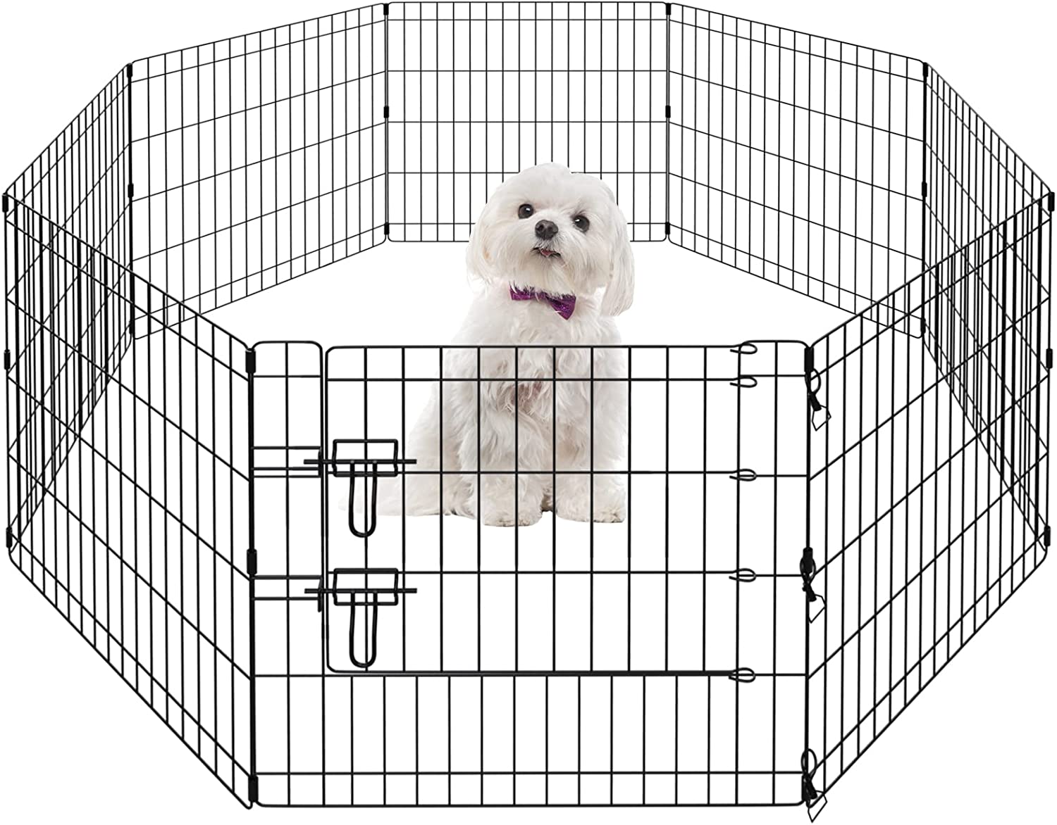 An image of a white maltese puppy in an X-pen to demonstrate how basic puppy training tools & concepts at home. X-Pens are a great way to transition from the crate to some house freedoms.