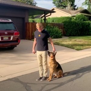 This is an image of Ian, and his German Shepherd, Ulf, during obedience training and troubleshooting the heel command.